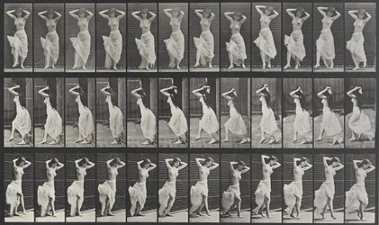 Animal Locomotion Plate 190